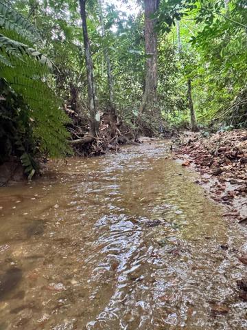 TANAH ADA SUNGAI FREEHOLD Paling Murah Ulu Yam, Selangor 1