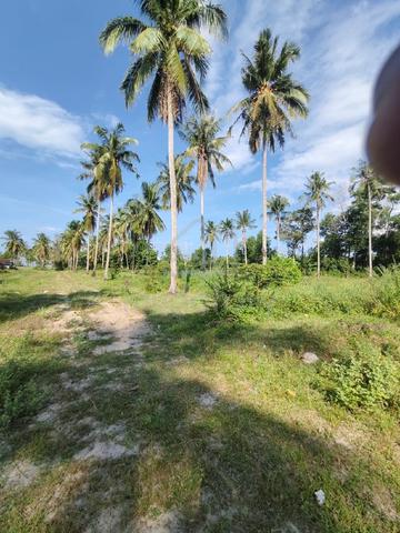Tanah 4 Ekar Tepi Jalan Utama Tok Bali 1