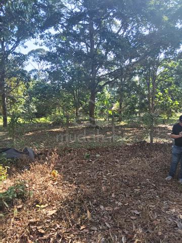 Tanah berstatus bangunan di mukim Pulau Sebang Alor Gajah Melaka 1