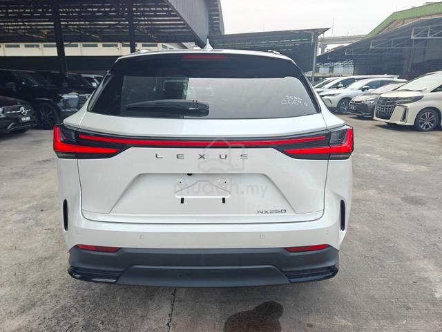 2023 Lexus NX 250 Luxury P/Roof 4Cam DIM HUD P/B.. - 4