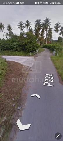 Land For Sale at Permatang Pasir,Balik Pulau,Penang - Freehold Flat 1
