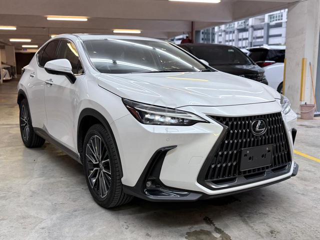 2023 Lexus NX250 VERSION L HUD DIM S/ROOF GRADE4.5 - 1