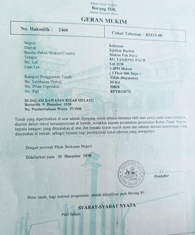 Tanah Padi 4 Ekar di Bachok 2