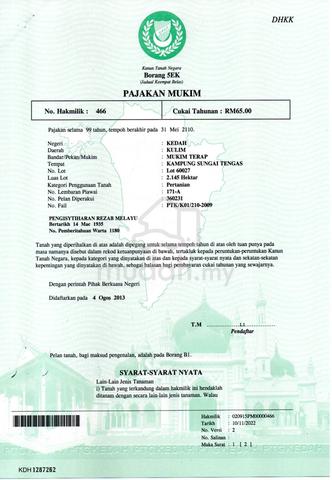 Kedah Kulim Agricultural Leasehold Land For Sale 1