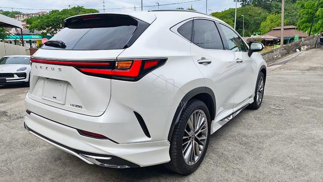 2023 Lexus NX250 2.5 LUXURY (A) GRADE 5A (PROOF) - 3