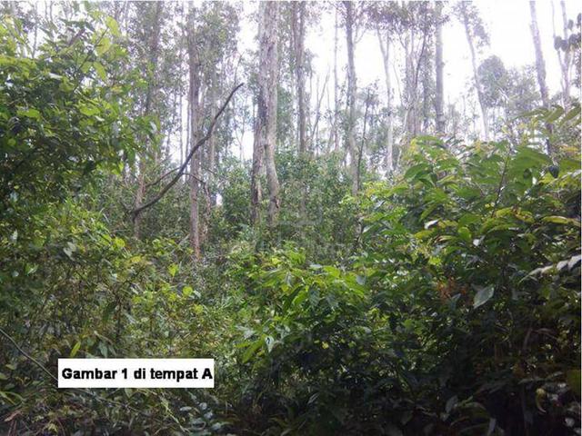 Melaka Duyong Agricultural Leasehold Land For Sale 1