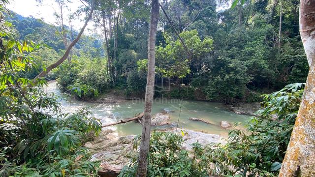 Freehold Homestead Land for Sale 2