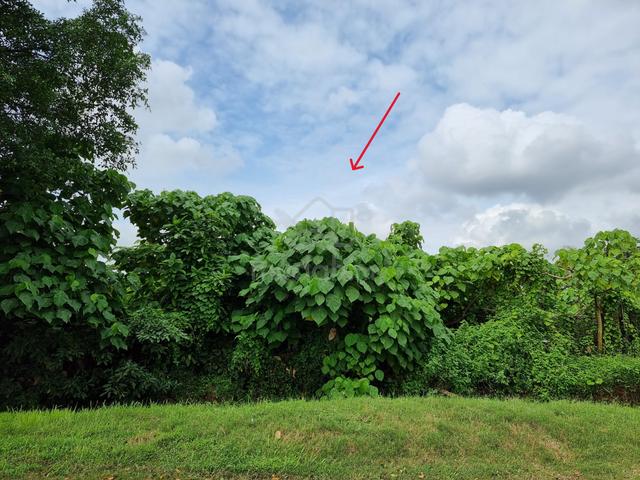 Agricultural Land For Sale - Kg Bukit Lanchong 1