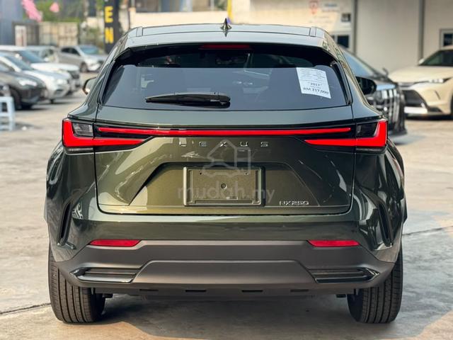 2023 Lexus NX250 2.5 BASE GRADE / DIM / 360 CAM - 5