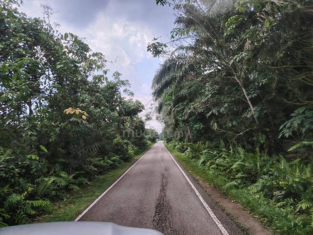 4 Acres Zoning Industrial Land @ Pekan Nanas, Ulu Choh, Pontian, Johor 1