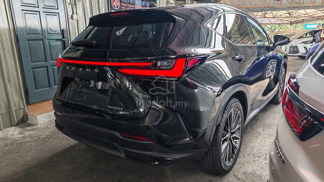 2023 Lexus NX 250 2.5 LUXURY (A) GRADE 5A-7YRS WRN - 3