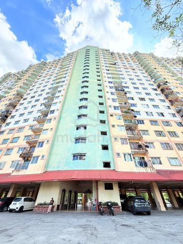 Desaminium Rimba 1