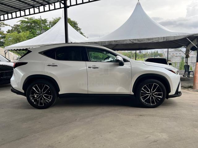 2023 Lexus NX250 2.5 LUXURY MY22 (A) - 5