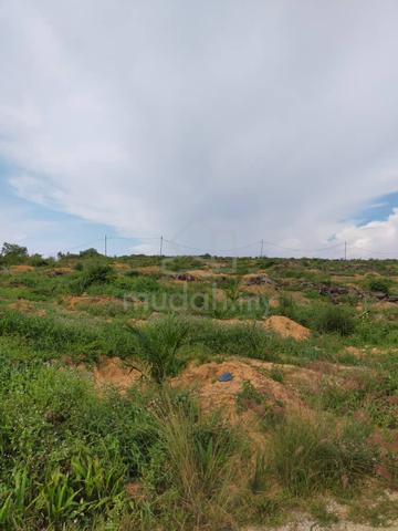【FREEHOLD MAIN ROAD】23 acres Mukim Machap Alor Gajah Melaka For Sale 1