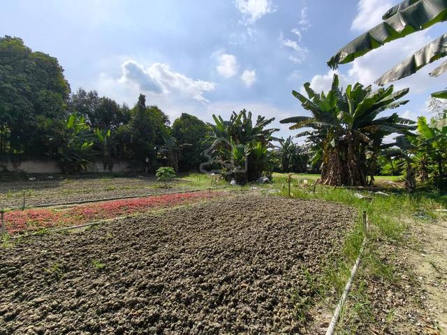 Tanah Pertanian 0.72 Ekar Untuk Dijual – Paya Jaras Sungai Buloh 1
