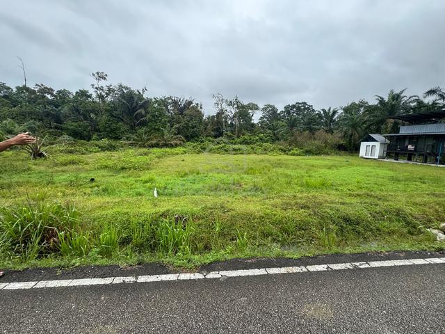 Tanah Pertanian Kampung Lukut Kota Tinggi Johor 3