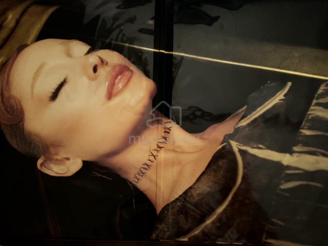 Carousel Image