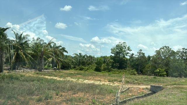 Land Agriculture Non Bumi Lot Freehold Geran Individu 1