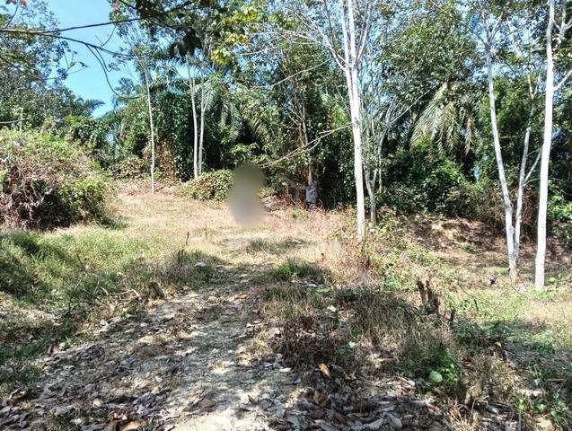 4 Acres Agricultural Land Lendu Road Access Masjid Tanah Melaka 1