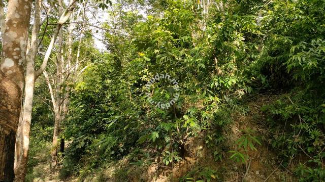 UNTUK DIJUAL Tanah Lot Pertanian Area Juasseh Kuala Pilah NS 2