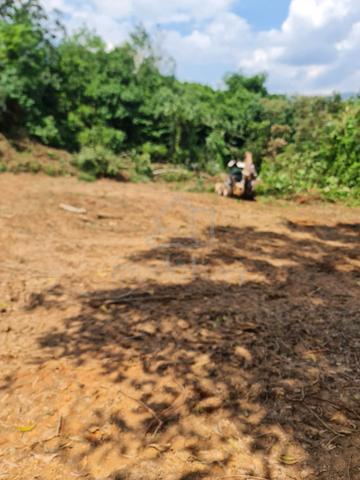 Tapak Perumahan Untuk Dijual 5