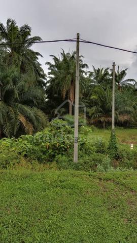 Tanah Batu 14 Lekir Perak 1