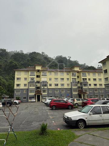 Desa Tanjung (Puchong) 1