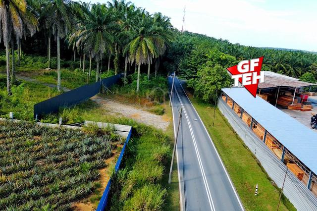4.13 acre Agricultural Land Bukit Teh | Machang Bubok | Bukit Mertajam 1
