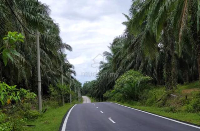 Agriculture Land with Heavy Zoning Industry at Kuala Muda for Sale 1
