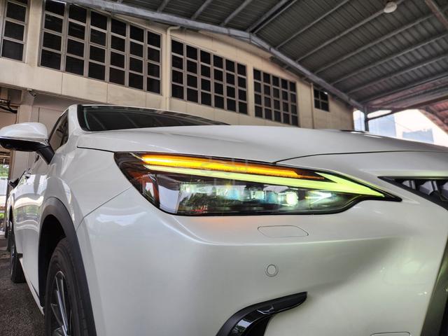 2023 Lexus NX250 360 Camera Power Seat Power Boot - 2