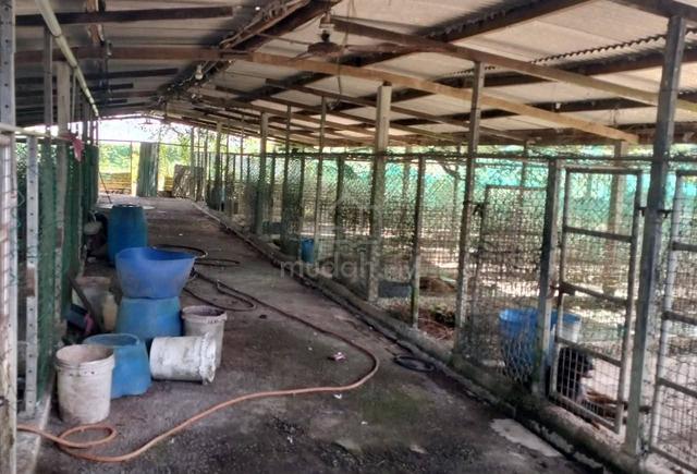 Seelong, senai, agriculture land, empty land, kempas, johor Bahru land 5