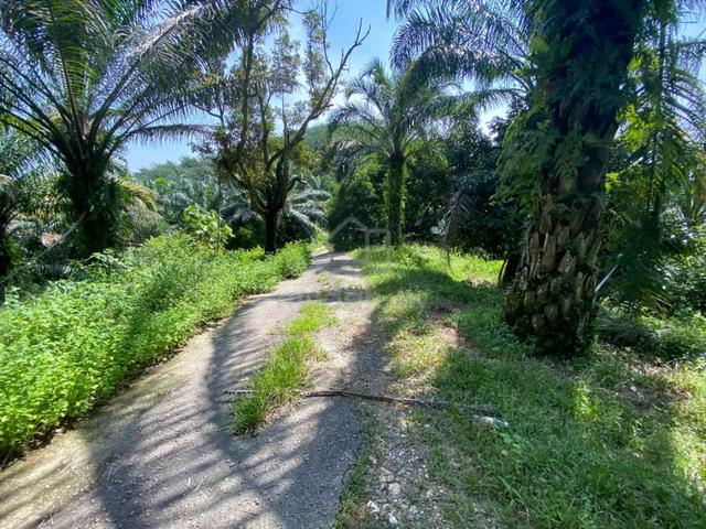 200 Acres Agricultural Land for Sale,Semenyih,Beranang,Selangor 1