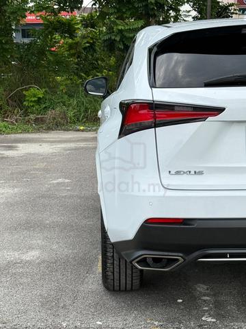 2020 Lexus NX300 2.0 F SPORT MY15 (A) - 4
