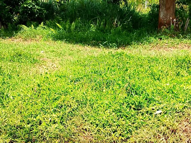 Tanah Lot Premium Strategic Kg Sungai Klanang Banting 5