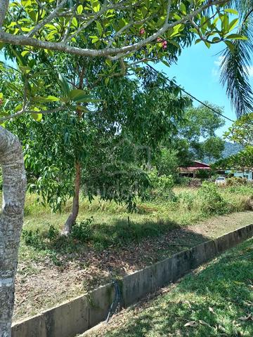 Sura, Dungun, Terengganu 1