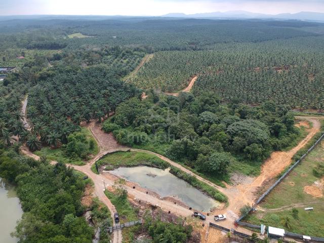 Sungai Tiram Ulu Tiram Nam Heng Agriculture Land 1