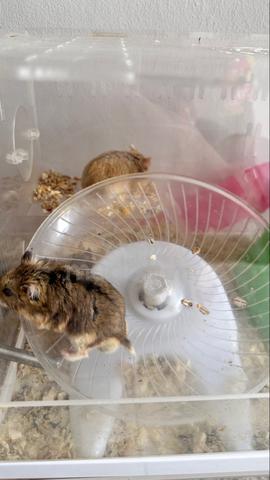 Carousel Image