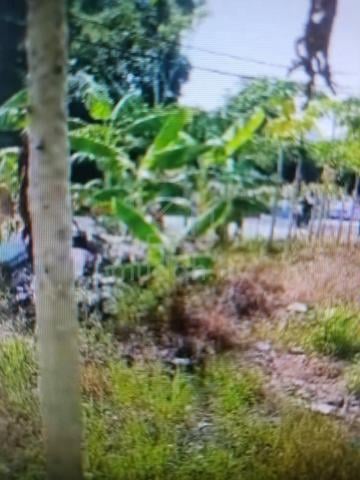 Ada sebidang tanah berukuran 6,000 kp untuk di jual satu kp RM65.00 4