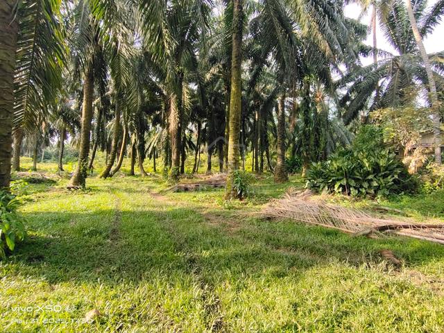 1.36 ekar land @ Sungai Raya, Tempat Air Hitam, Linggi, PD, N9 1