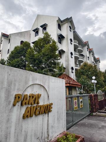 Park Avenue Apartment (Georgetown) 1