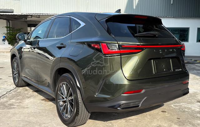 2023 Lexus NX250 2.5 BASE/Army Green/Dim/4Cam - 5