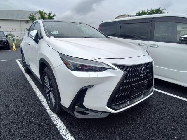 2023 Lexus NX250 2.5 BASE GRADE (A) FULL LOAN - 1