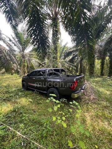 Tanah sawit 6.3 ekar, Kampung Pasir Kemudi Jln Sg Lembing Kuantan 1