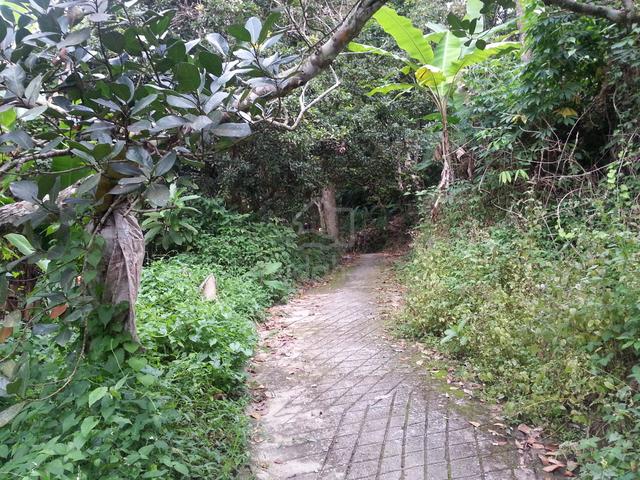 Agricultural Land at Balik Pulau 1