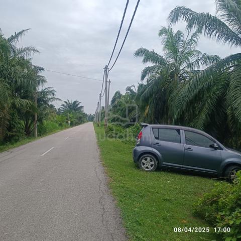 Tanah Pertanian 2.11 Ekar Kg Tambak Jawa Jeram berdekatan Pantai Remis 4