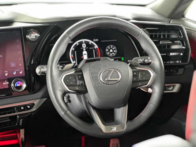 2025 Lexus RX350 2.4 F SPORT (A) GRADE 5A 10K KM - 4