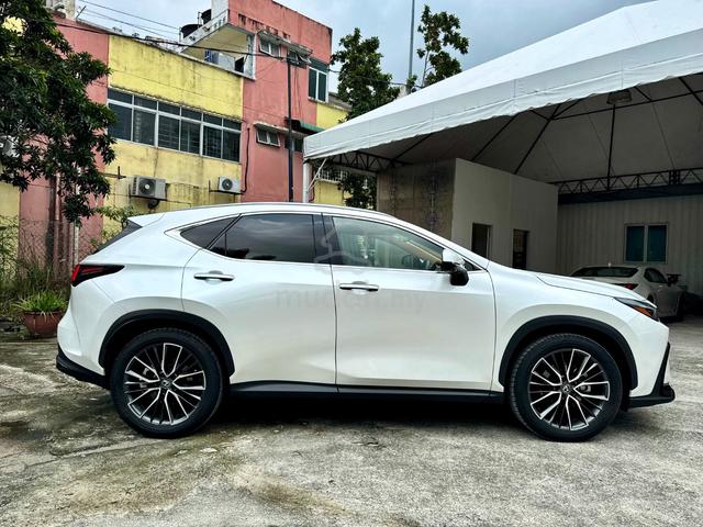 ‼️5A‼️VERSION-L 2023 Lexus NX250 2.5 DIM 360 PROOF - 3