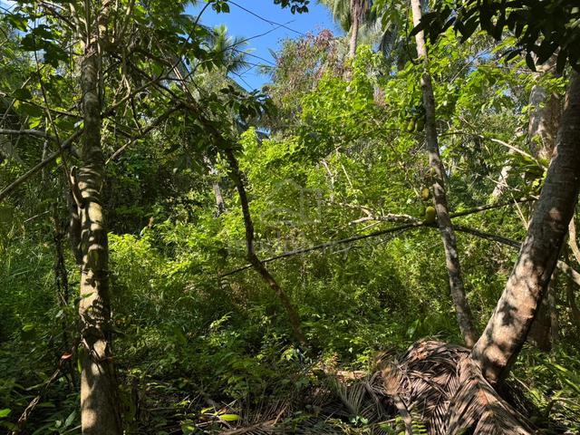 Asajaya agricultural land for sale 2