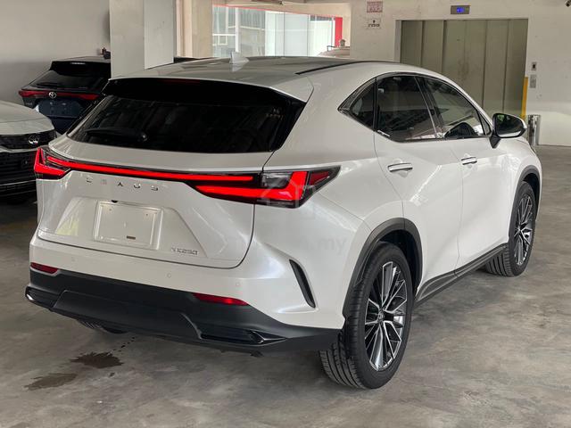 2023 Lexus NX250 2.5 LUXURY (A) - 3