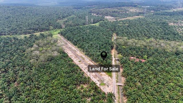 FREEHOLD NONBUMI - 2.5ac Land @ Bukit Bakri, Muar 1